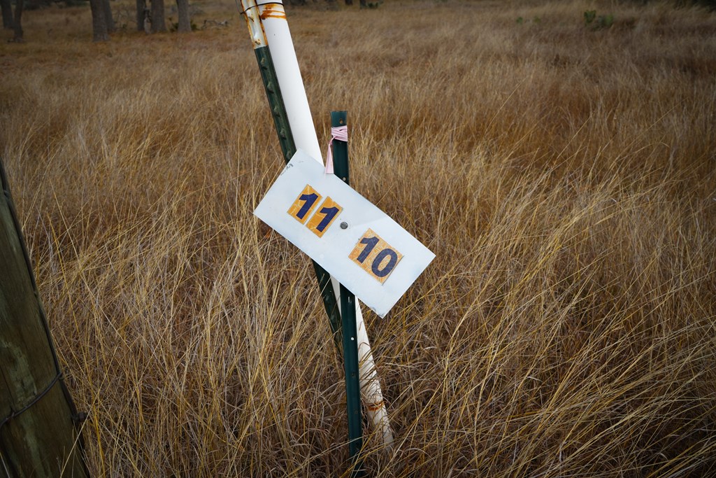 875 Old Harper Road Harper, TX 78631 - Photo 36 of 42