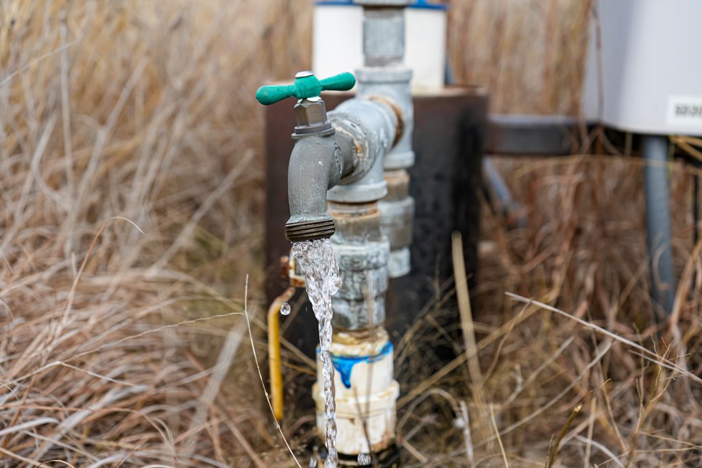 875 Old Harper Road Harper, TX 78631 - Photo 38 of 42 a vase of flowers sitting on a table