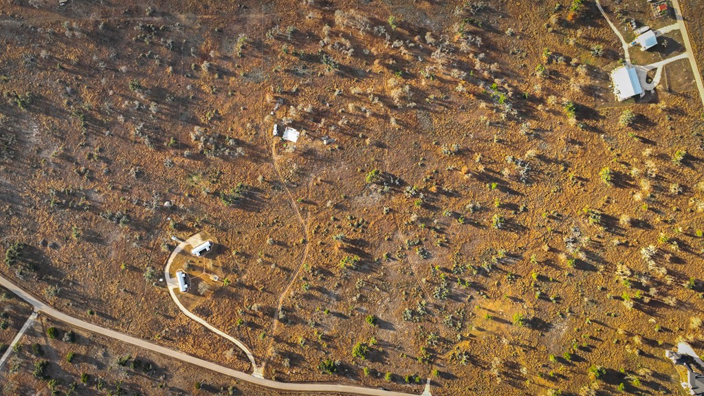 875 Old Harper Road Harper, TX 78631 - Photo 5 of 42 a picture of a tree with a plant