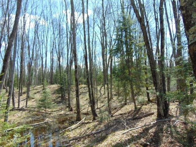 On South Bayview Road Presque Isle, WI 54557 - Photo 15 of 19 Gallery Image 15