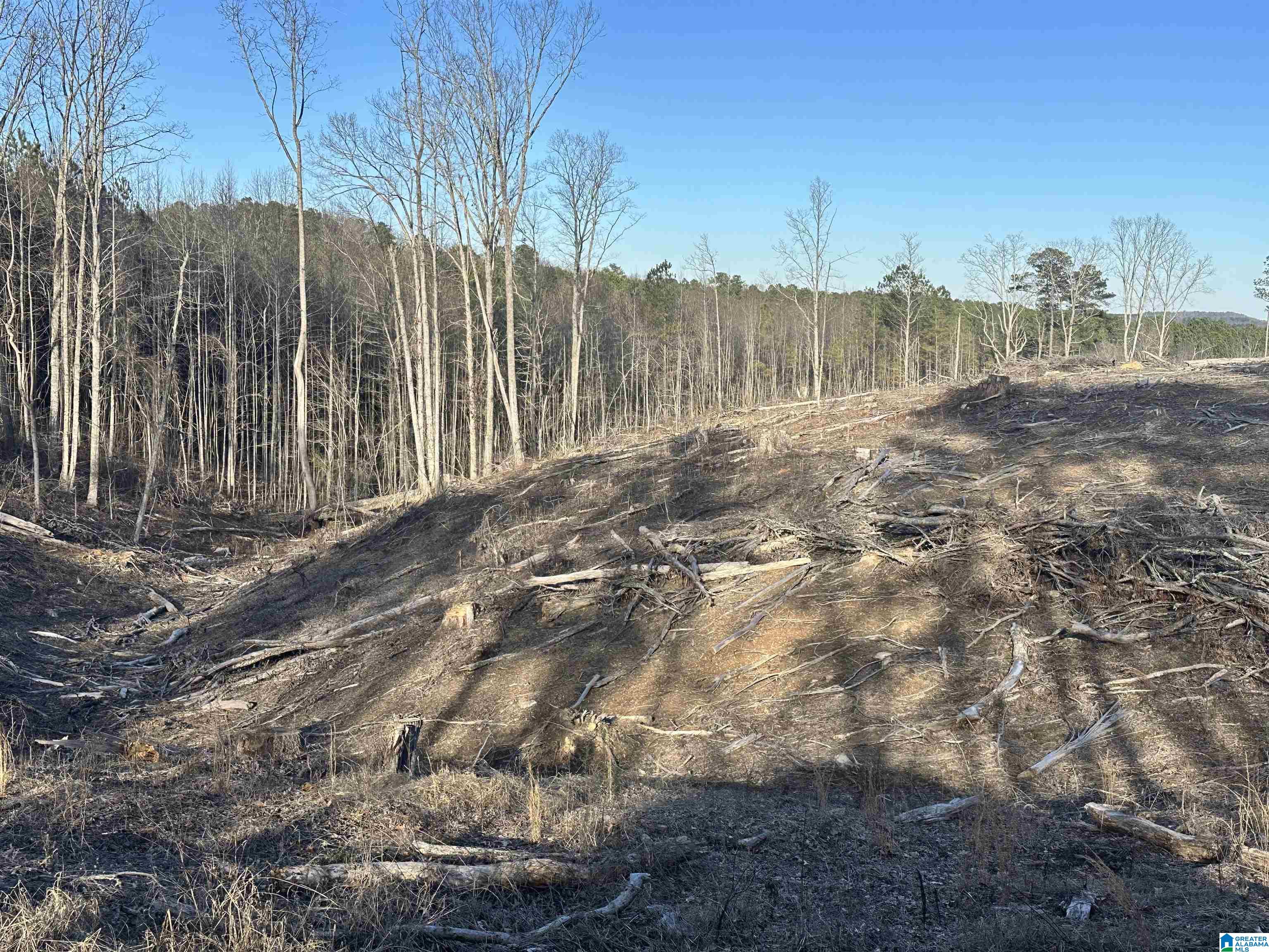 500 Haynes Road Altoona, AL 35952 - Photo 43 of 50