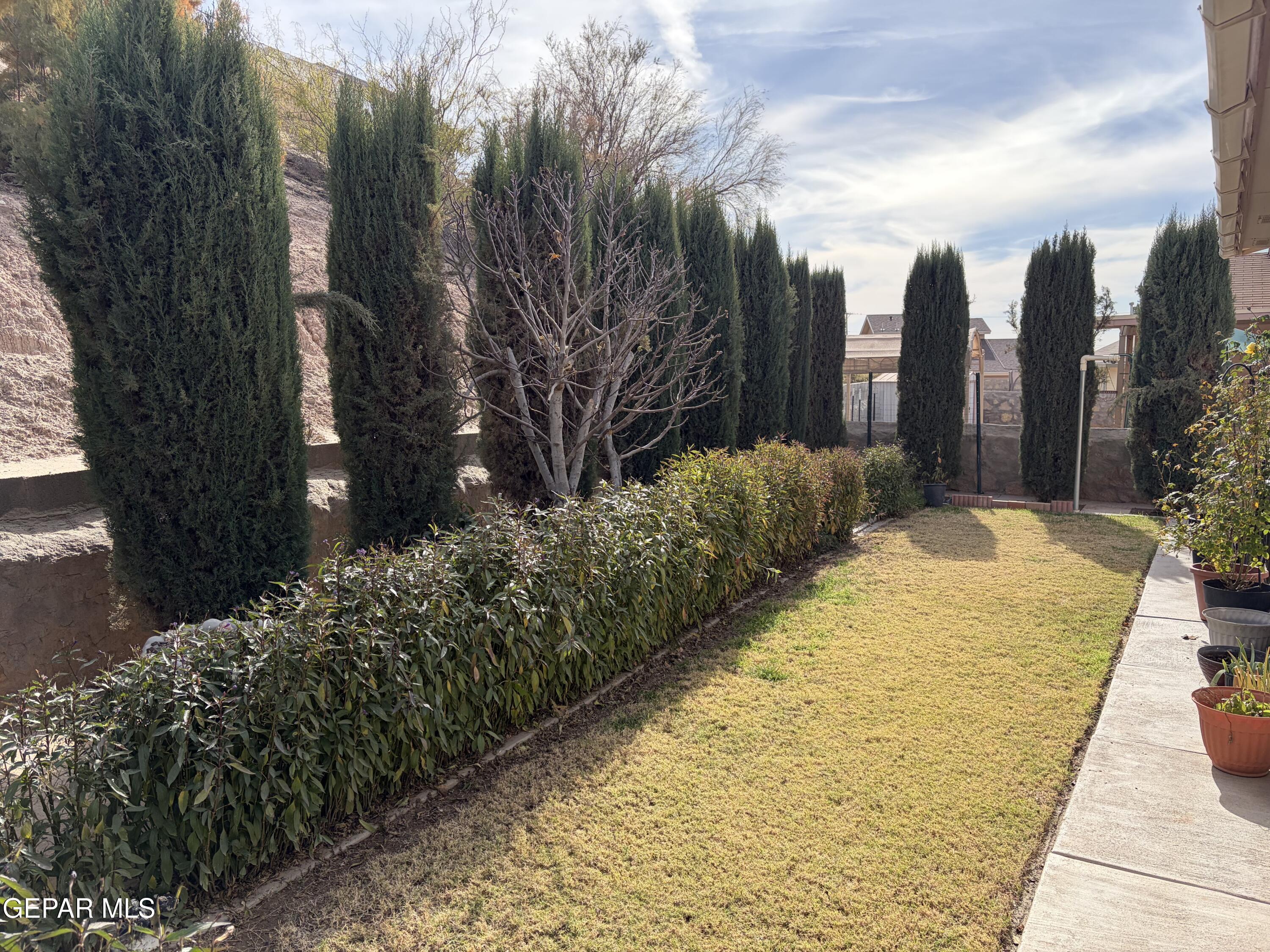 10735 Thunder Road El Paso, TX 79927 - Photo 30 of 32 IMG_0280