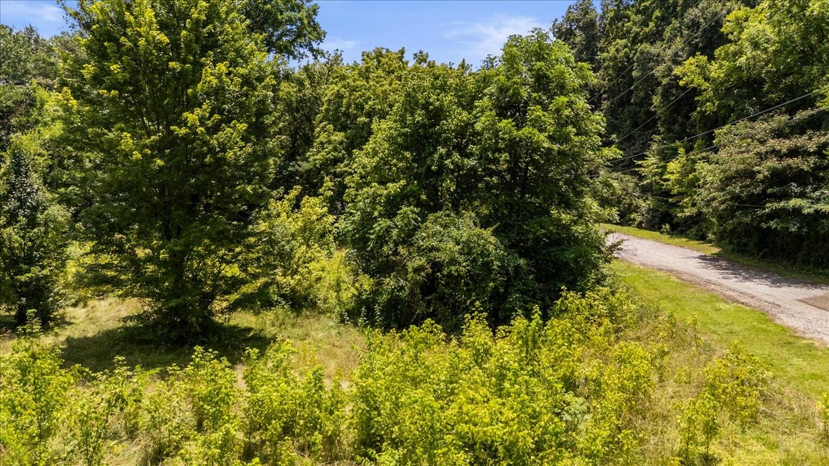 474 Clift Road Soddy-Daisy, TN 37379 - Photo 14 of 19