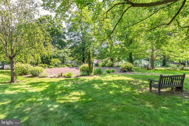 a view of a garden with a tree