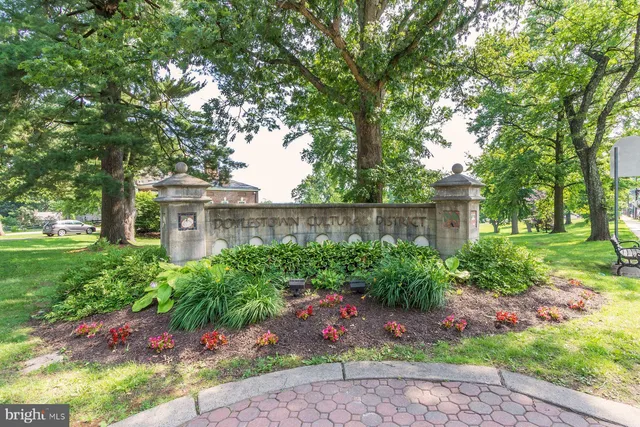 a view of a garden with plants and trees