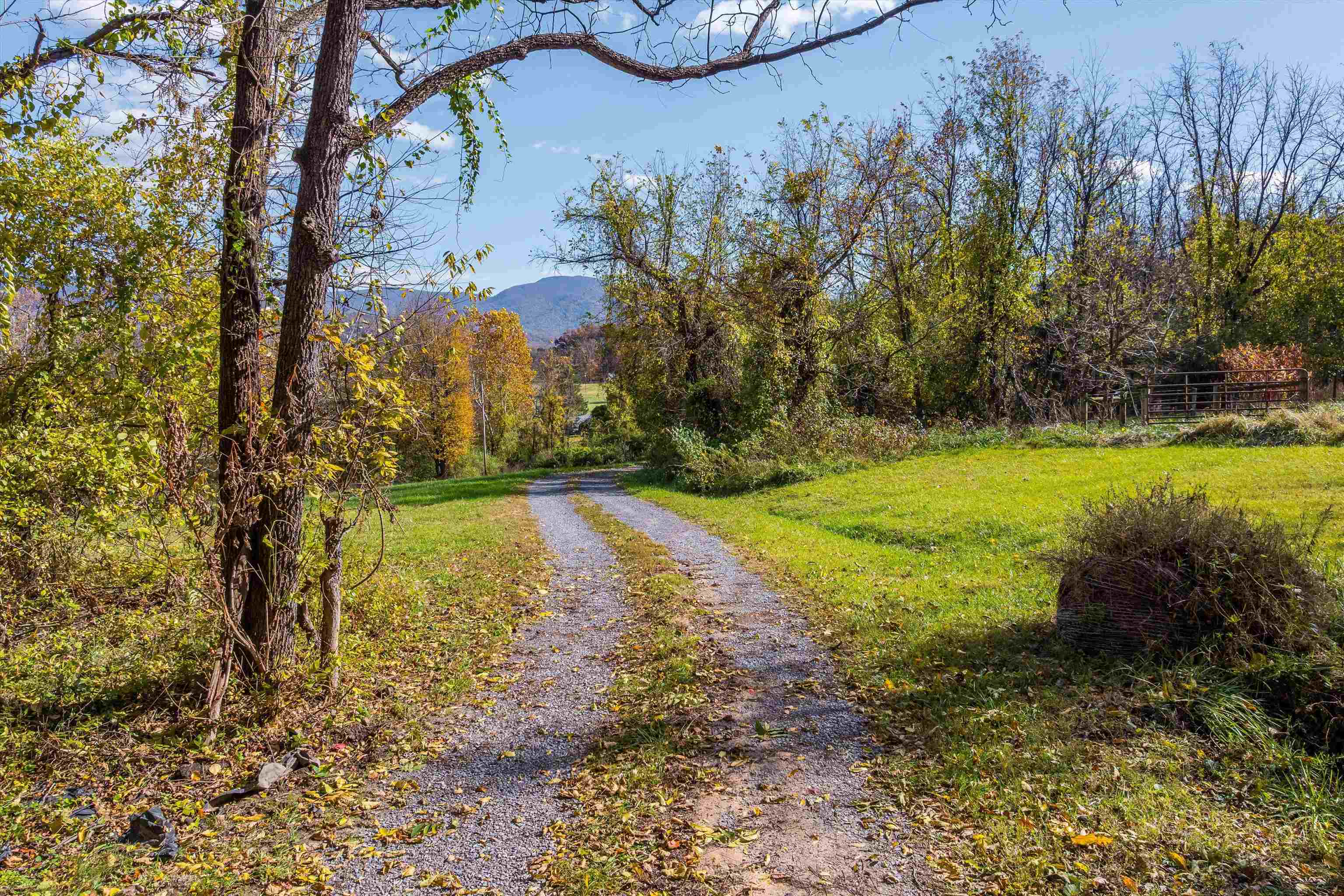 326-328 Running Pine Road Luray, VA 22835 - Photo 15 of 22 a view of a yard with an outdoor space