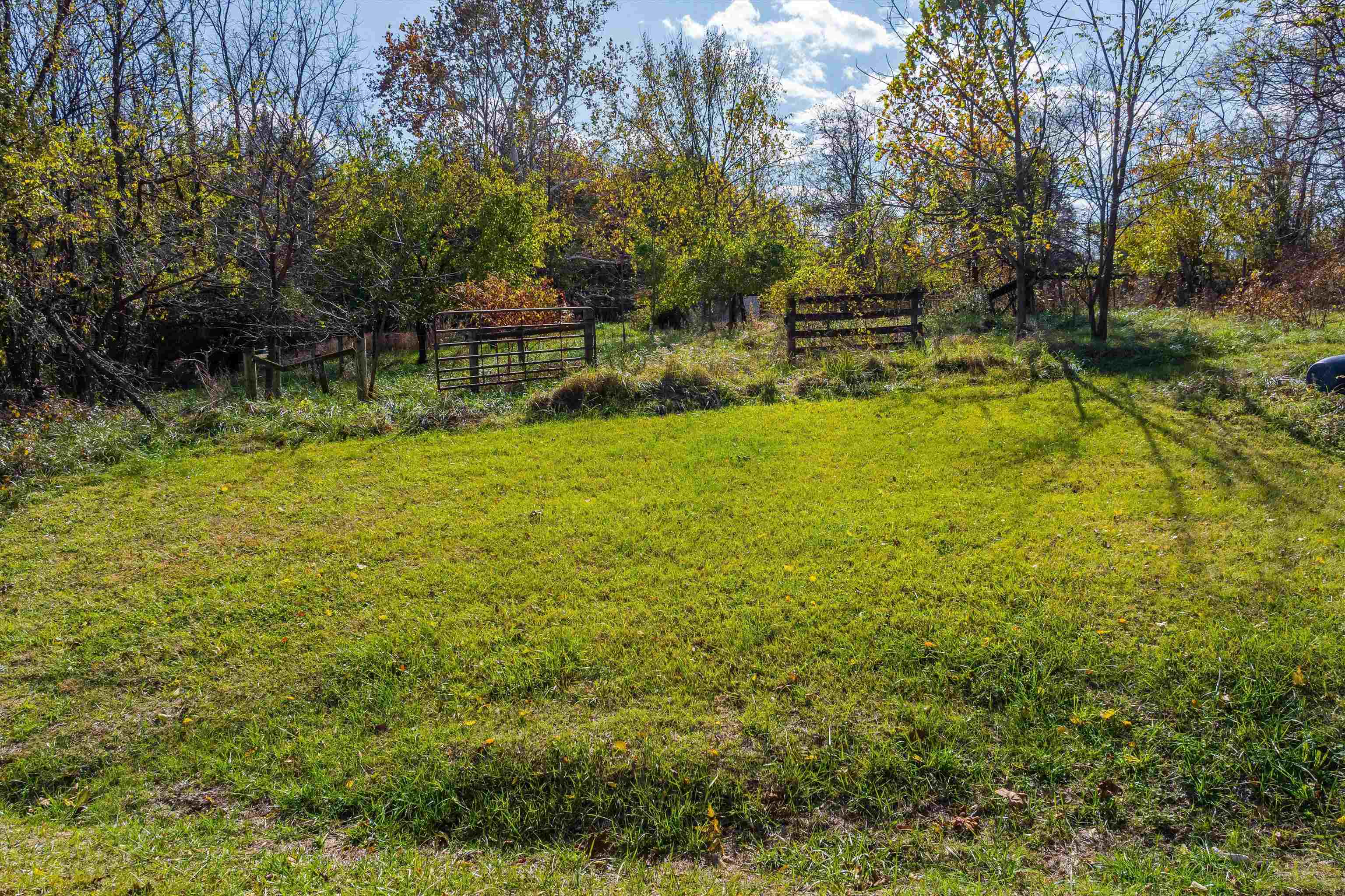 326-328 Running Pine Road Luray, VA 22835 - Photo 16 of 22 a view of a yard with a house in the background
