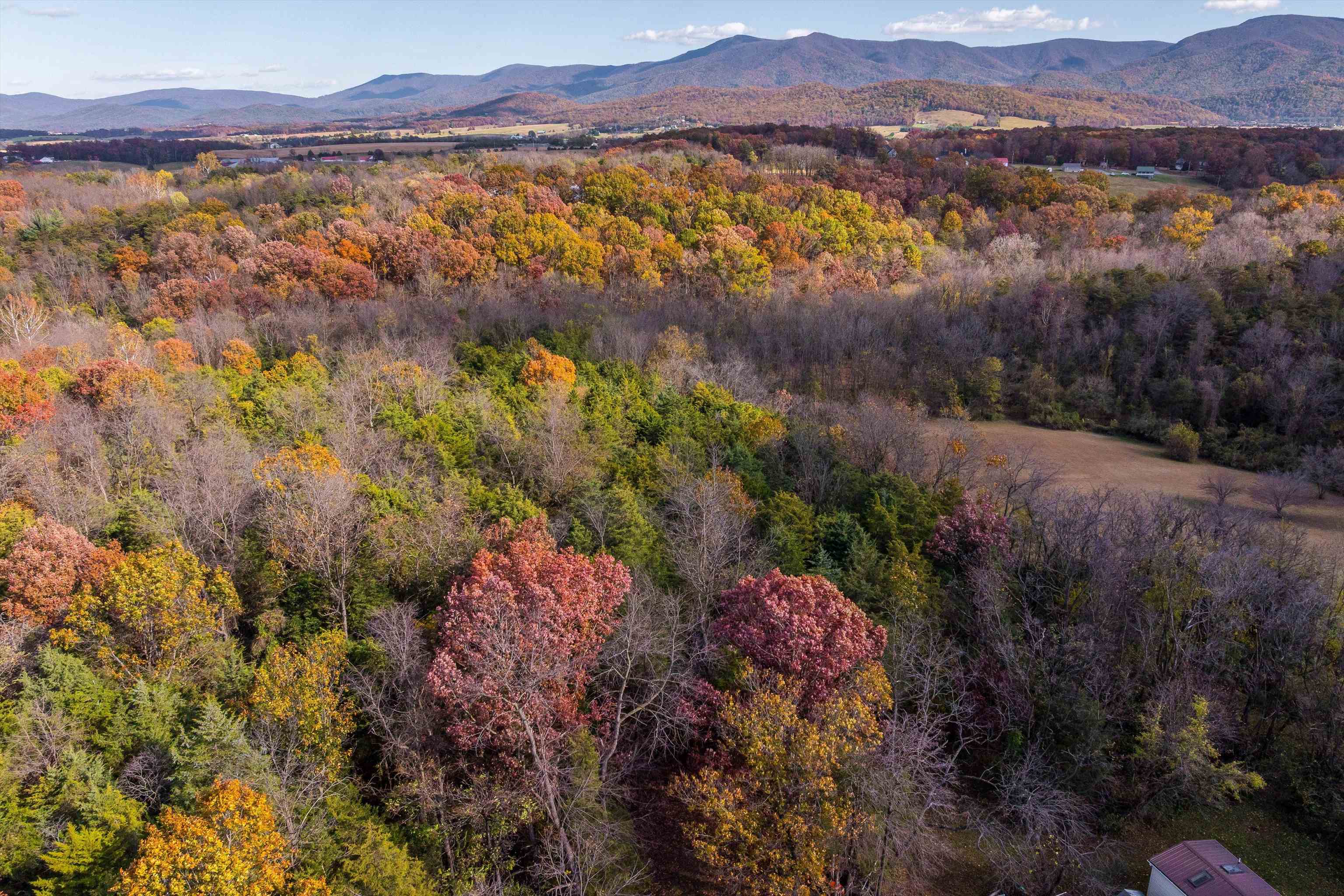326-328 Running Pine Road Luray, VA 22835 - Photo 20 of 22 a view of lake and mountain