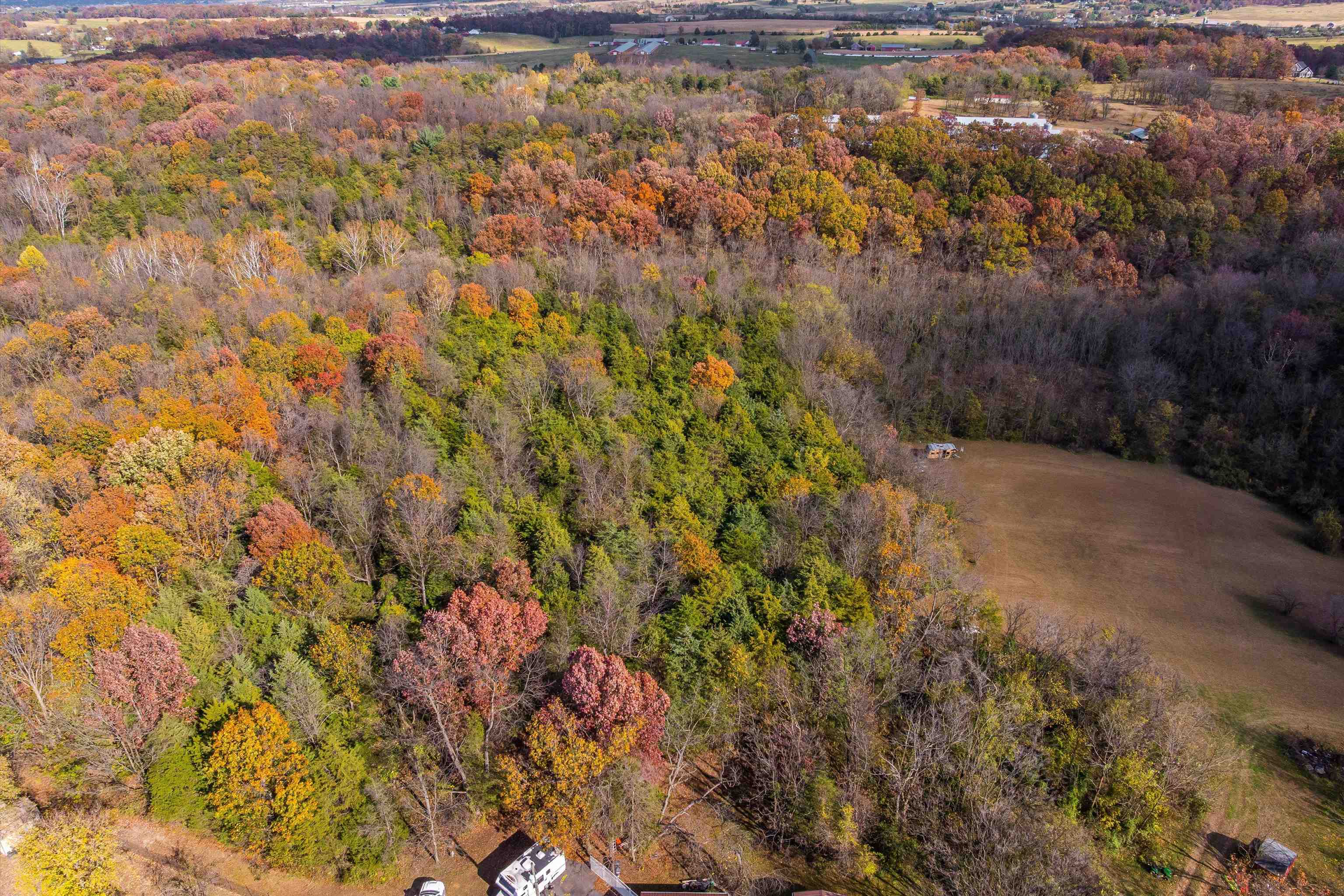 326-328 Running Pine Road Luray, VA 22835 - Photo 21 of 22 a view of a yard with a tree
