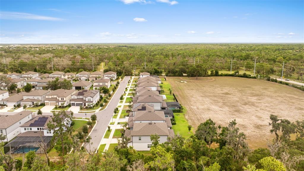 11490 Calusa Trails Way Riverview, FL 33569 - Photo 52 of 54