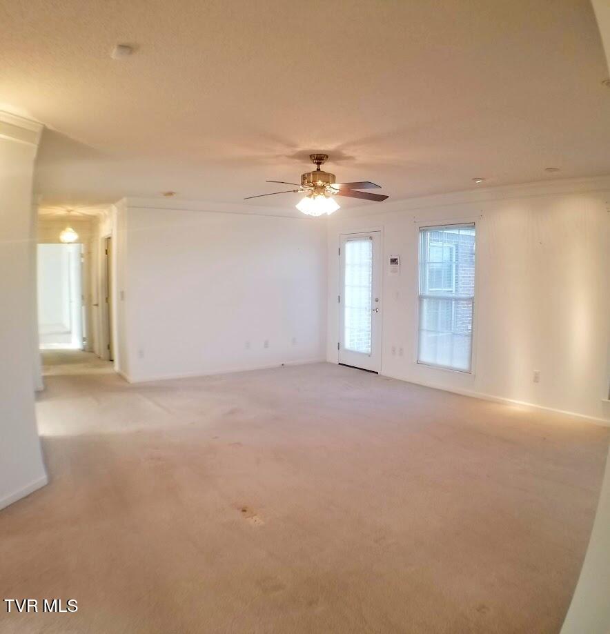 102 East Ridgefield Court Greeneville, TN 37745 - Photo 11 of 100 20241124_145027-EDIT