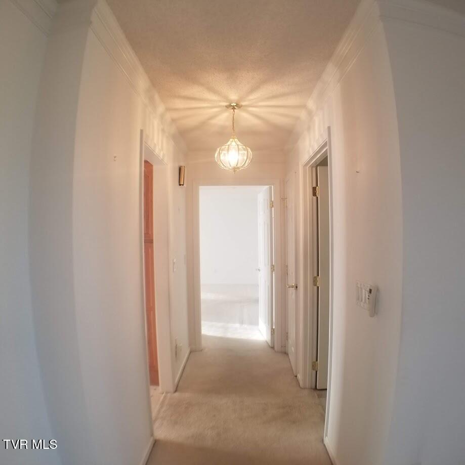 102 East Ridgefield Court Greeneville, TN 37745 - Photo 28 of 100 20241124_145334