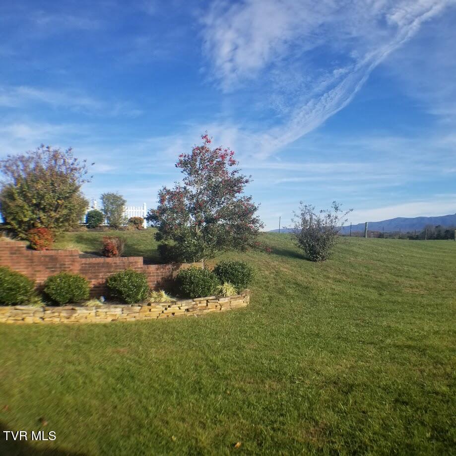 102 East Ridgefield Court Greeneville, TN 37745 - Photo 37 of 100 20241124_150307