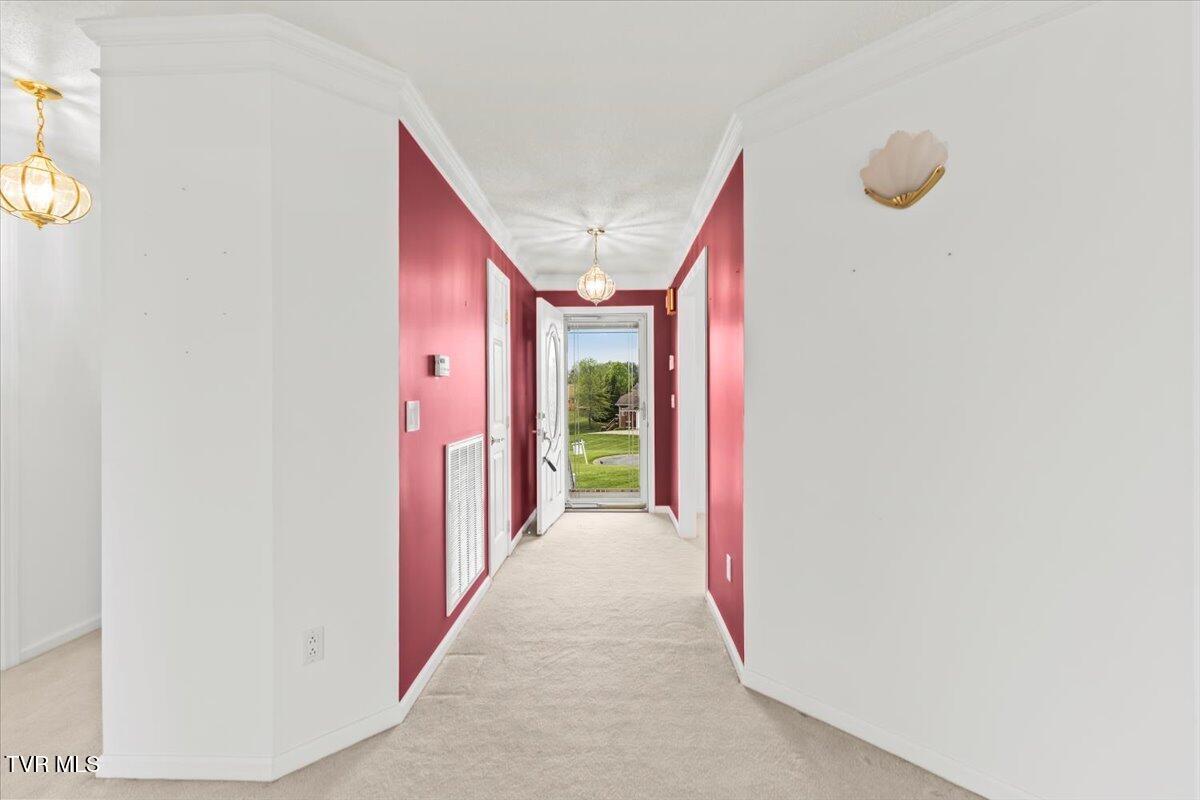 102 East Ridgefield Court Greeneville, TN 37745 - Photo 50 of 100 07-128A3903