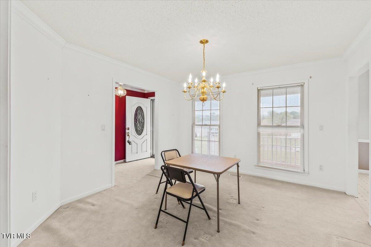 102 East Ridgefield Court Greeneville, TN 37745 - Photo 52 of 100 09-128A3909