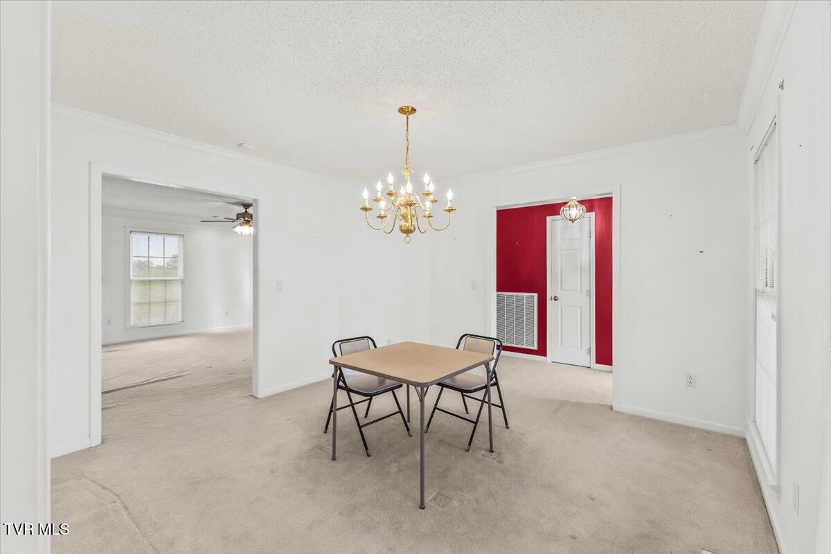 102 East Ridgefield Court Greeneville, TN 37745 - Photo 53 of 100 10-128A3913