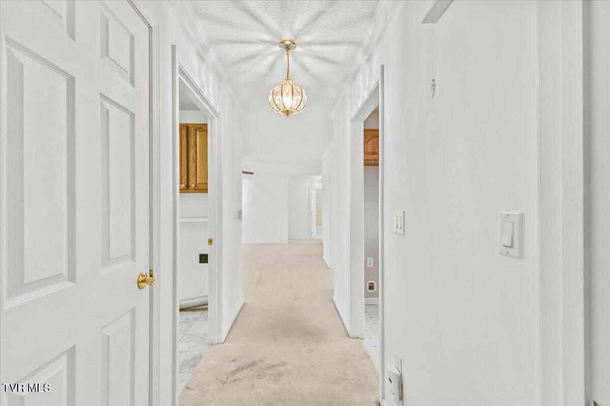 102 East Ridgefield Court Greeneville, TN 37745 - Photo 65 of 100 22-128A3955