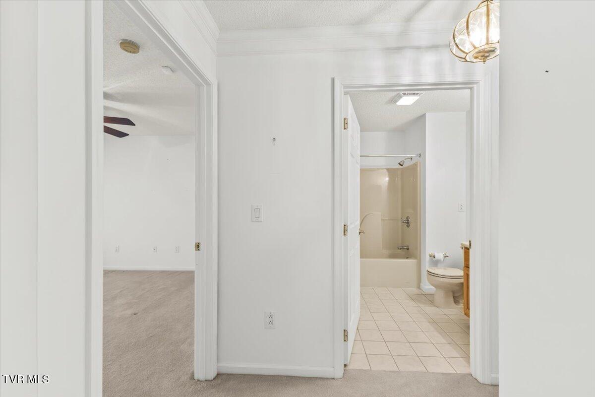 102 East Ridgefield Court Greeneville, TN 37745 - Photo 66 of 100 23-128A3958