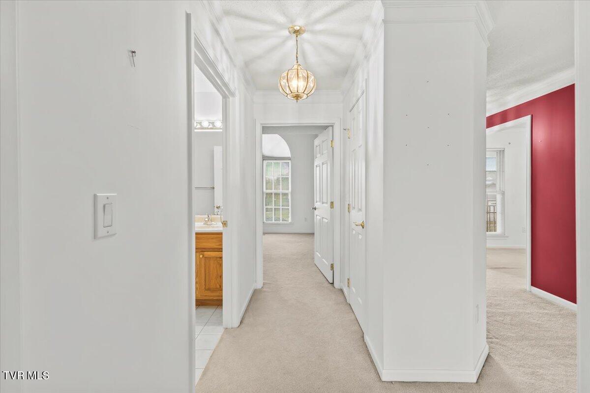 102 East Ridgefield Court Greeneville, TN 37745 - Photo 69 of 100 26-128A3970