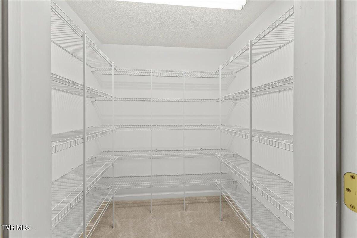 102 East Ridgefield Court Greeneville, TN 37745 - Photo 85 of 100 42-128A4018