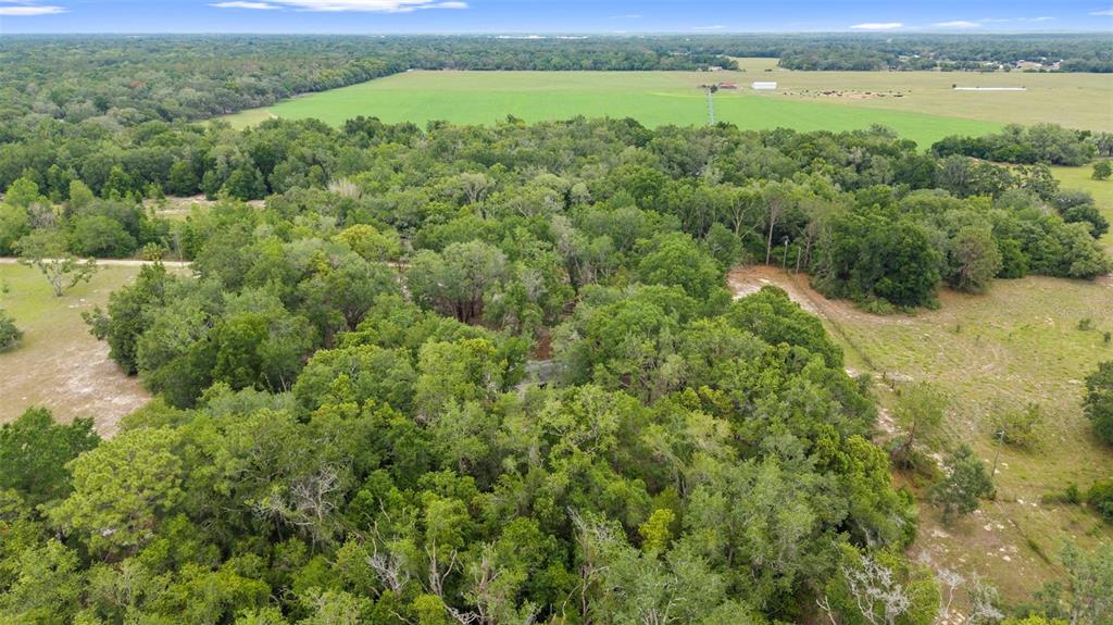 18330 Booming Road Spring Hill, FL 34610 - Photo 39 of 48