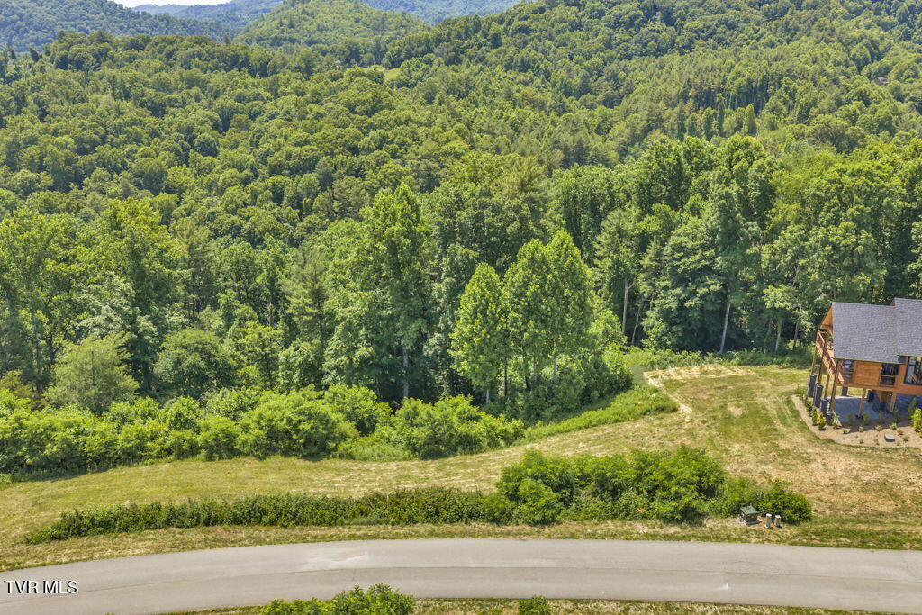 Lot 30 Eagle Rdg Parkway, Unit 30 Butler, TN 37640 - Photo 9 of 28 9-web-or-mls-DJI_20260605120504_0037_D