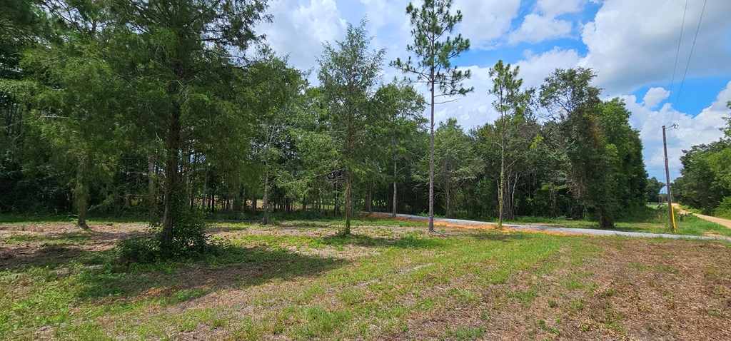 L1 New Hinson Road Slocomb, AL 36375 - Photo 17 of 30