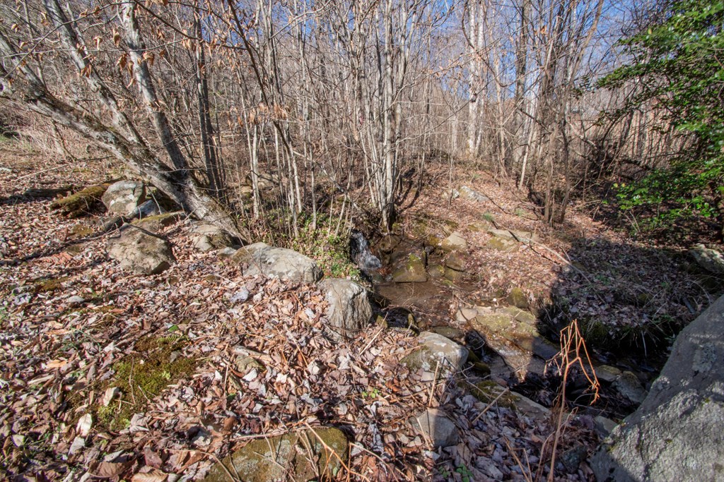 5834 Sweetwater Road Robbinsville, NC 28771 - Photo 31 of 39 Gallery Image 31