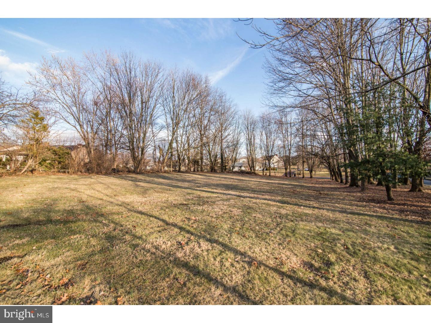 158 Ruth Road Harleysville, PA 19438 - Photo 7 of 24 Side Yard