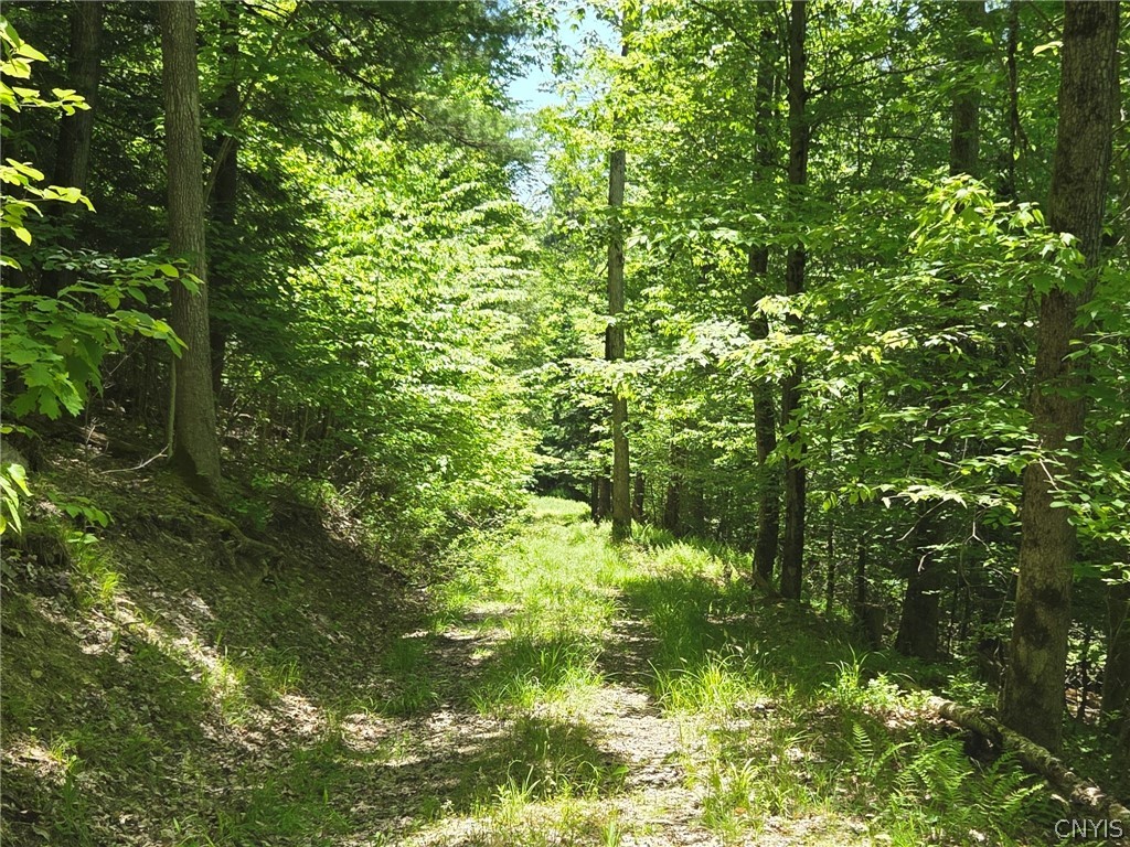 Lillibridge Road Olean, NY 14760 - Photo 44 of 48