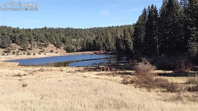 $415,000 | 97 Shadow Lake Drive, Divide, CO 80814