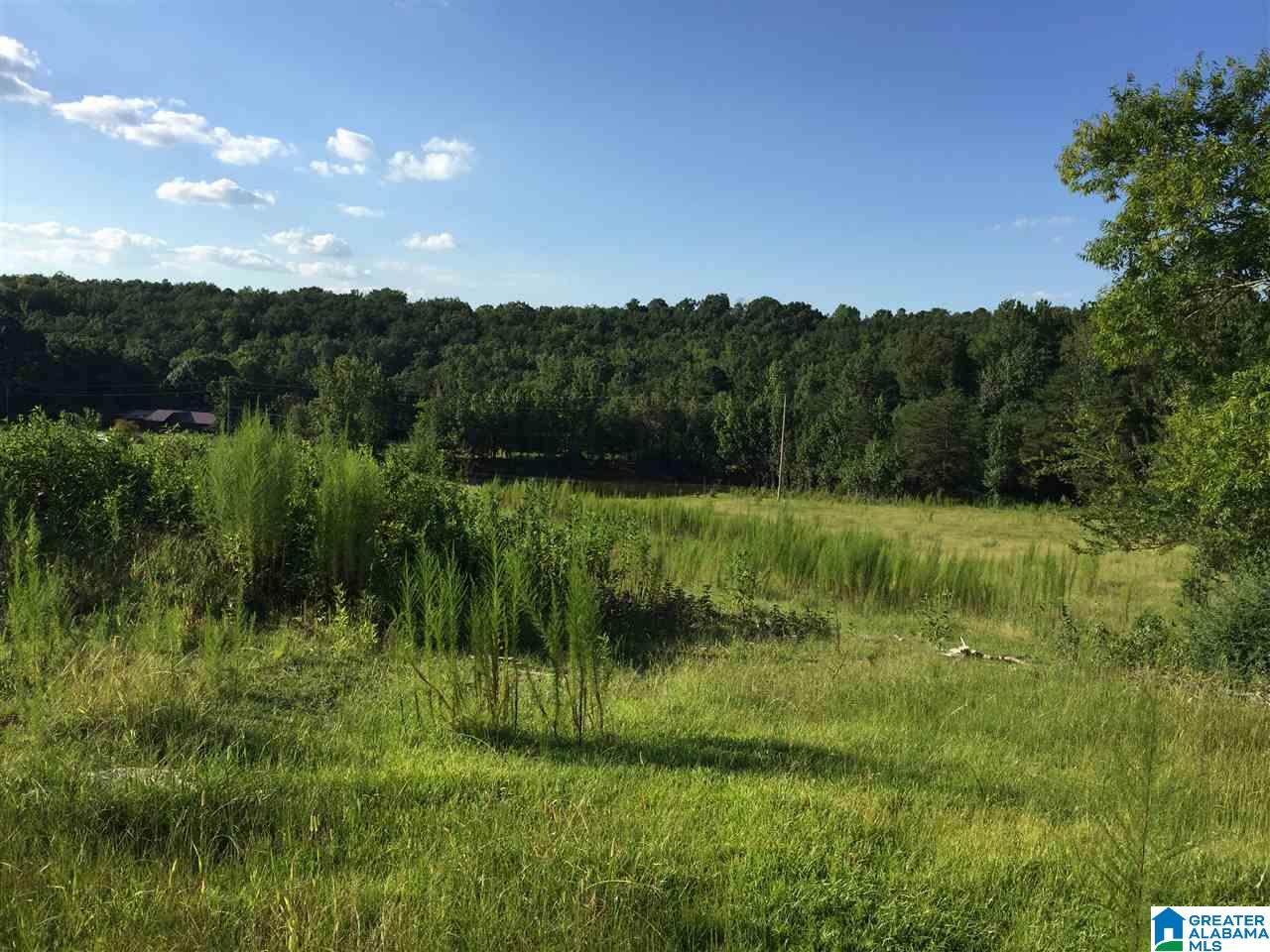 0 Valley Creek Road Piedmont, AL 36272 - Photo 9 of 28