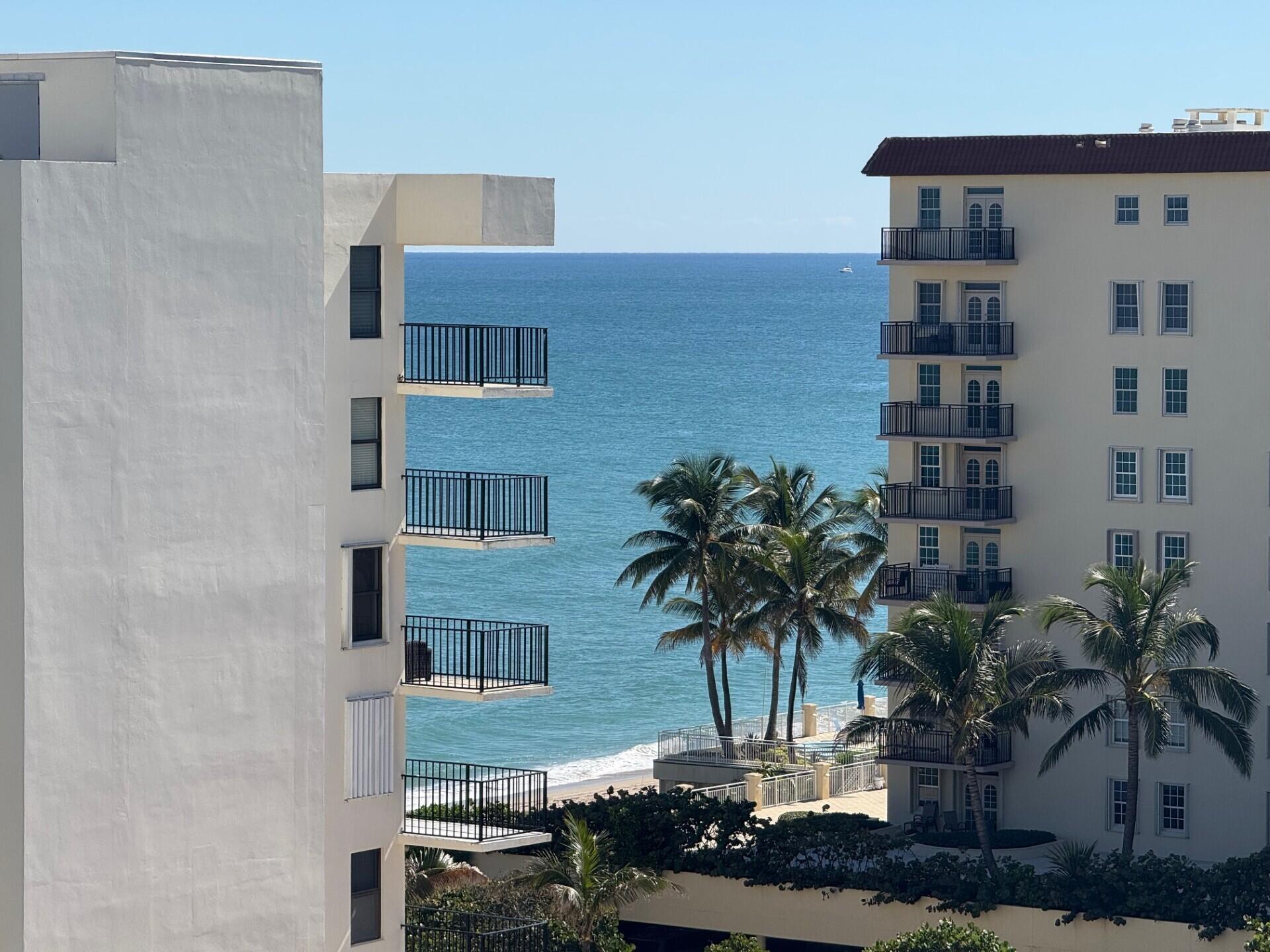 3450 South Ocean Boulevard, Unit 819 Palm Beach, FL 33480 - Photo 7 of 37 a potted plant sitting in front of a building