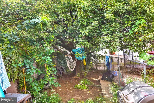 a view of a back yard