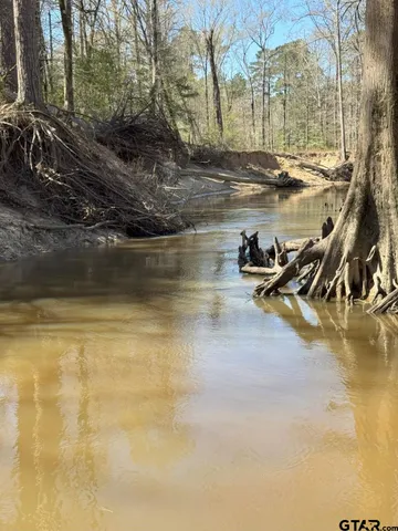 $520,260 | 59 Marshall Tx 75672, Marshall, TX 75672