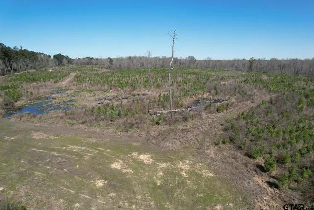 $520,260 | 59 Marshall Tx 75672, Marshall, TX 75672