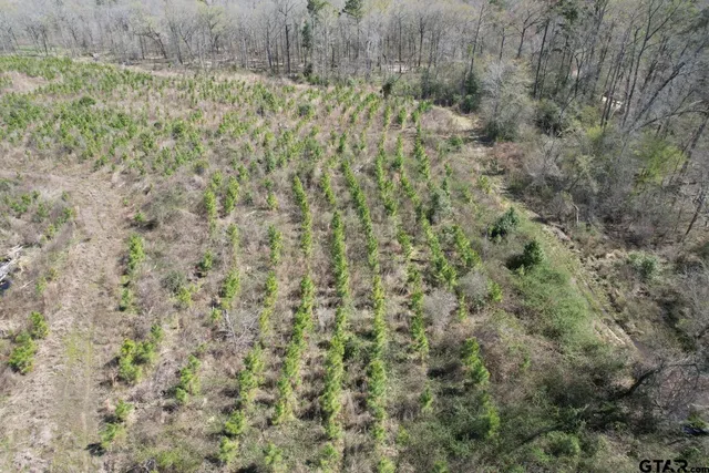 $520,260 | 59 Marshall Tx 75672, Marshall, TX 75672