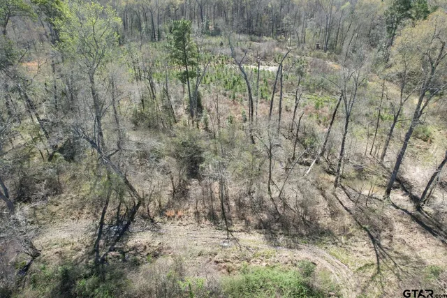 $520,260 | 59 Marshall Tx 75672, Marshall, TX 75672