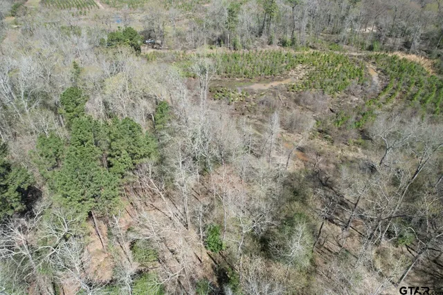 $520,260 | 59 Marshall Tx 75672, Marshall, TX 75672