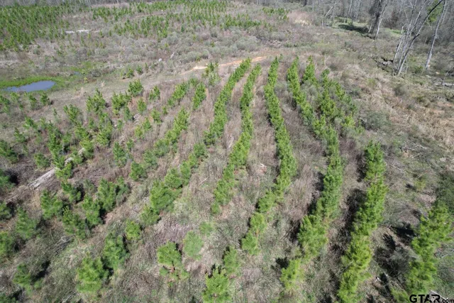 $520,260 | 59 Marshall Tx 75672, Marshall, TX 75672