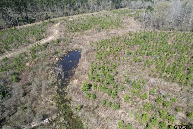 $520,260 | 59 Marshall Tx 75672, Marshall, TX 75672