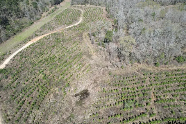 $520,260 | 59 Marshall Tx 75672, Marshall, TX 75672