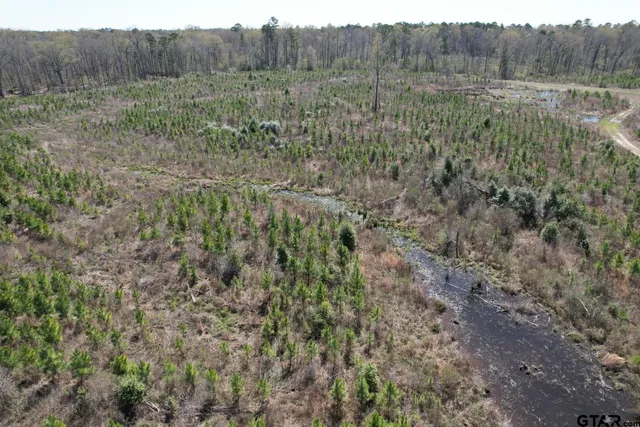 $520,260 | 59 Marshall Tx 75672, Marshall, TX 75672