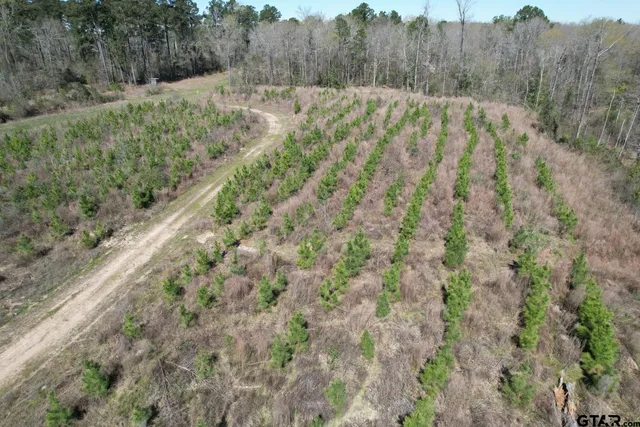 $520,260 | 59 Marshall Tx 75672, Marshall, TX 75672