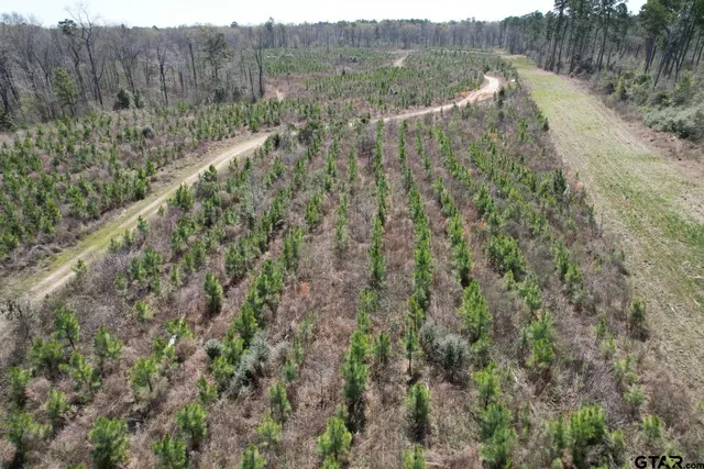 $520,260 | 59 Marshall Tx 75672, Marshall, TX 75672