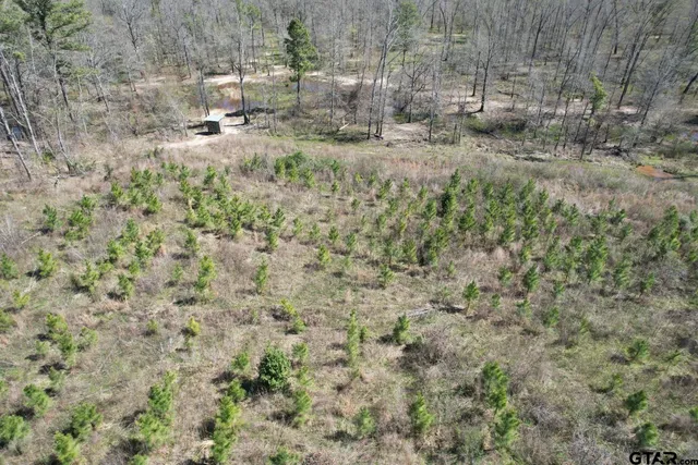 $520,260 | 59 Marshall Tx 75672, Marshall, TX 75672