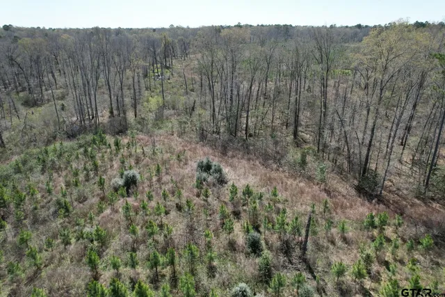 $520,260 | 59 Marshall Tx 75672, Marshall, TX 75672