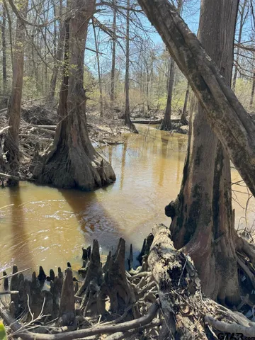 $520,260 | 59 Marshall Tx 75672, Marshall, TX 75672