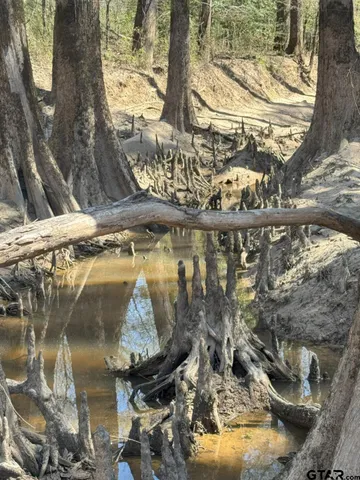 $520,260 | 59 Marshall Tx 75672, Marshall, TX 75672