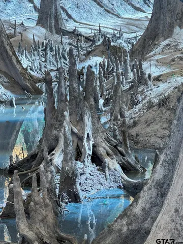 $520,260 | 59 Marshall Tx 75672, Marshall, TX 75672